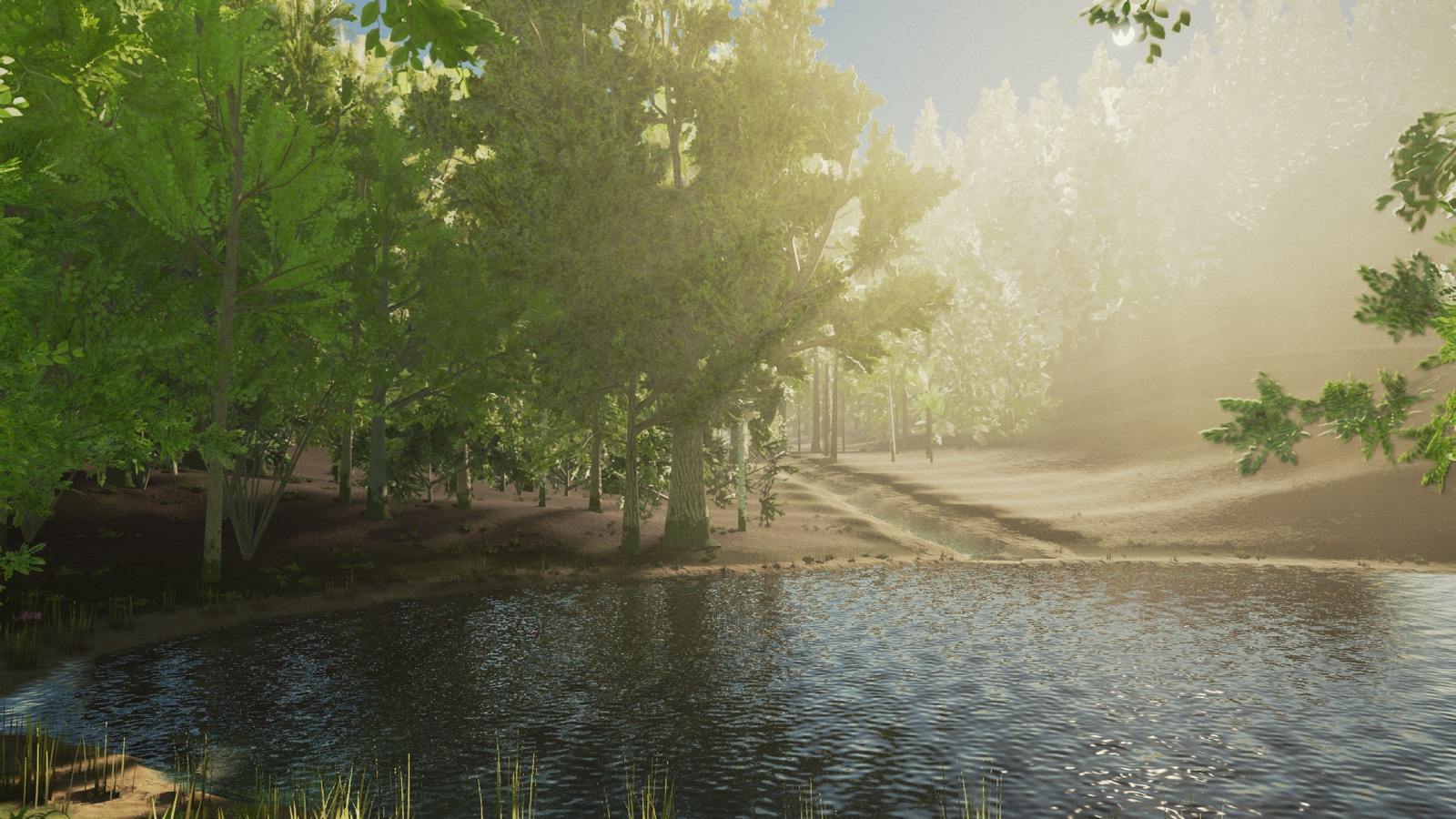 Misty pond: Screen-space reflections, impostor canopies