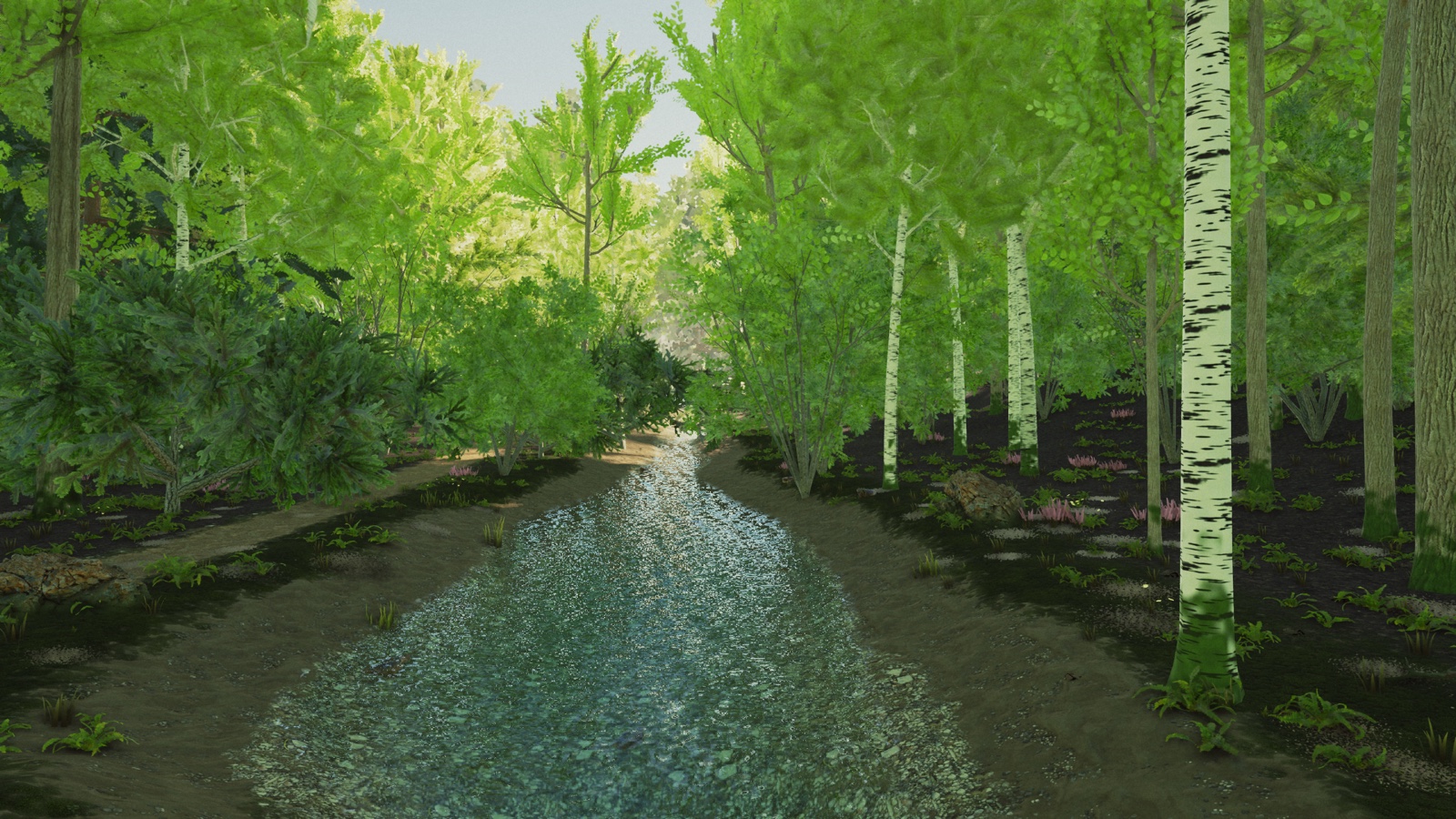 Upstream: The carved stream seen through the ripples